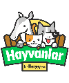 Hayvanlar
